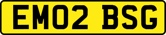 EM02BSG
