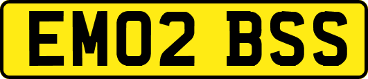 EM02BSS