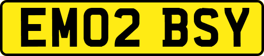 EM02BSY