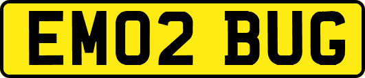 EM02BUG