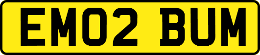 EM02BUM