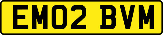 EM02BVM