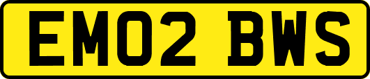 EM02BWS
