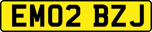 EM02BZJ