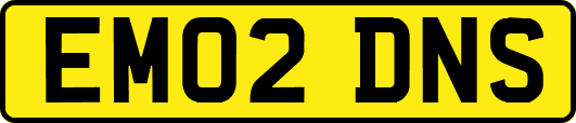 EM02DNS