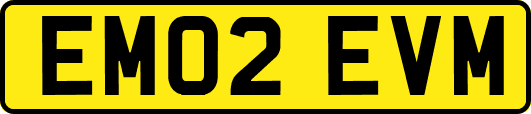 EM02EVM