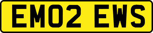 EM02EWS