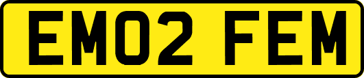 EM02FEM