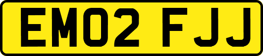 EM02FJJ