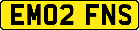 EM02FNS