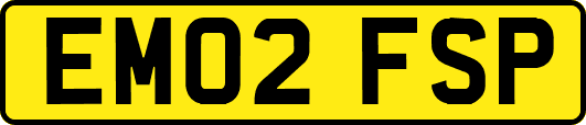 EM02FSP