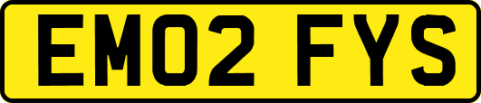 EM02FYS