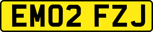 EM02FZJ