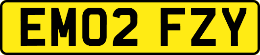 EM02FZY