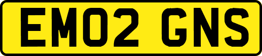 EM02GNS