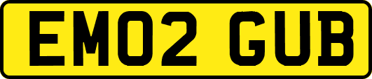 EM02GUB