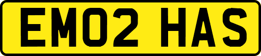EM02HAS