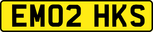 EM02HKS