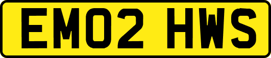 EM02HWS