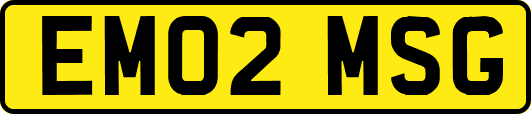 EM02MSG