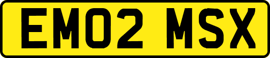 EM02MSX