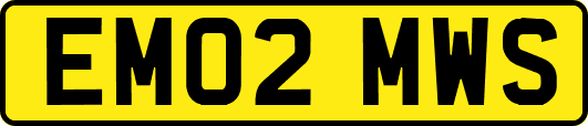 EM02MWS