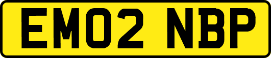 EM02NBP