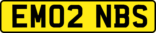 EM02NBS