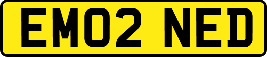 EM02NED