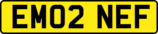 EM02NEF