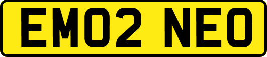 EM02NEO