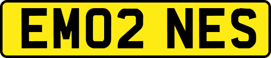 EM02NES