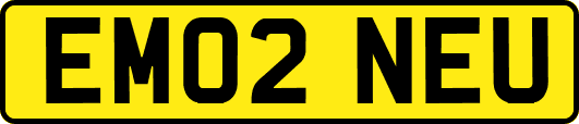EM02NEU