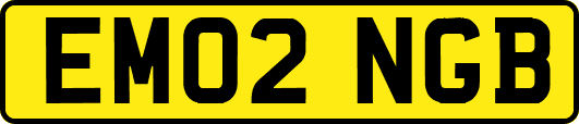 EM02NGB