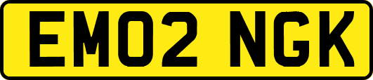 EM02NGK