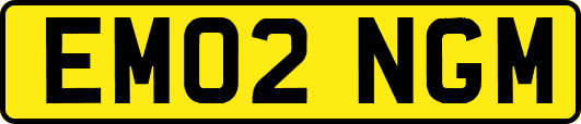EM02NGM