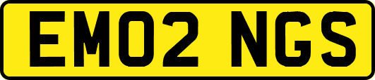 EM02NGS