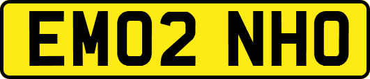 EM02NHO
