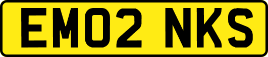 EM02NKS