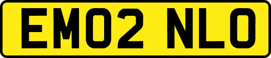 EM02NLO