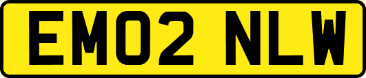 EM02NLW