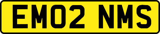 EM02NMS