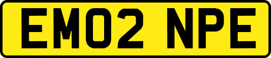 EM02NPE