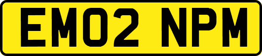 EM02NPM