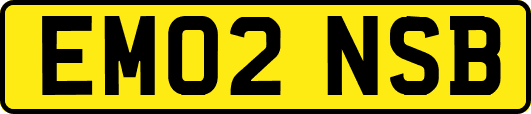 EM02NSB