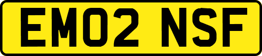 EM02NSF