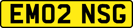 EM02NSG