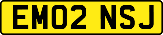 EM02NSJ