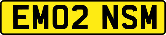 EM02NSM