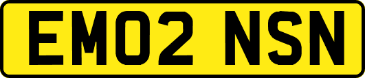 EM02NSN